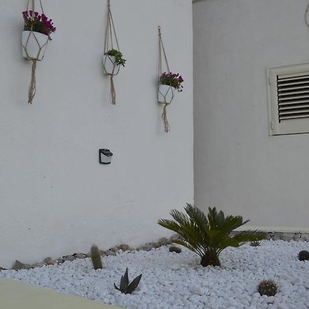 Casa Vacanza Salentina Gagliano del Capo Extérieur photo